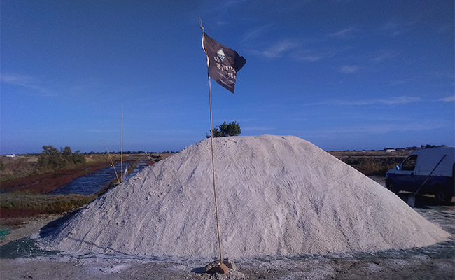 Charroi 2018: une année de récolte de sel record