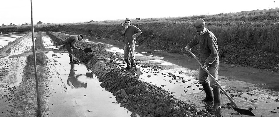 Préparation des bassins des marais salants