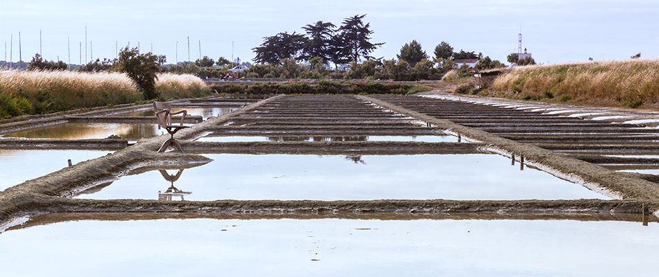 Marais salants de l'Île de Ré