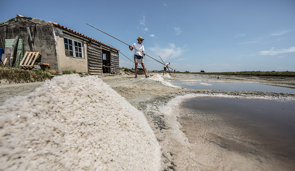 Marais salants de l'Île de Ré