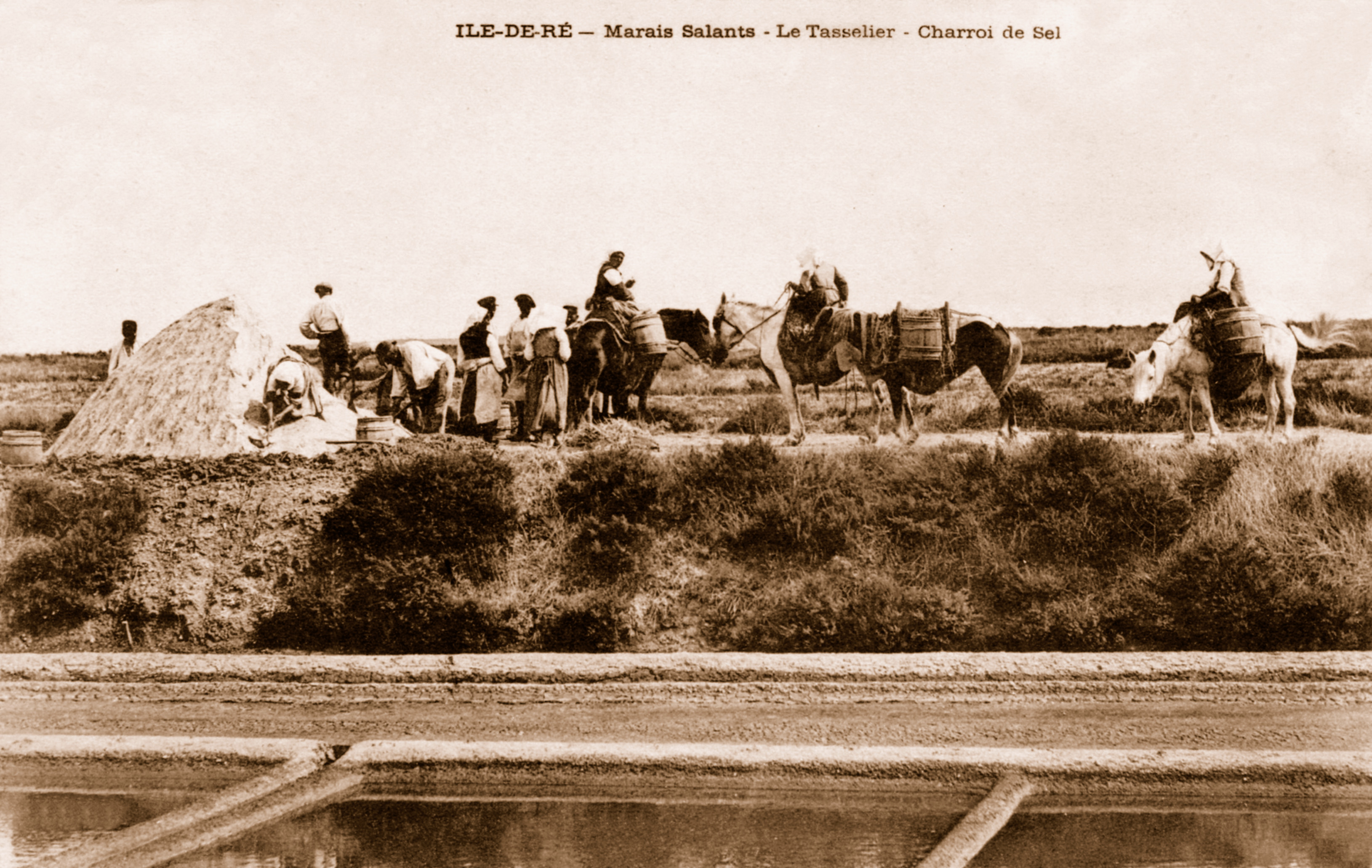 Photo des marais salants rétais en 1903