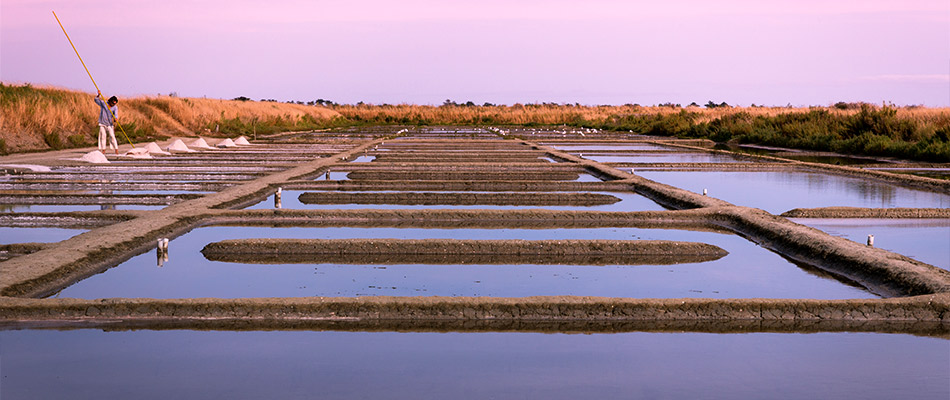 Récolte de tonnes de Gros sel