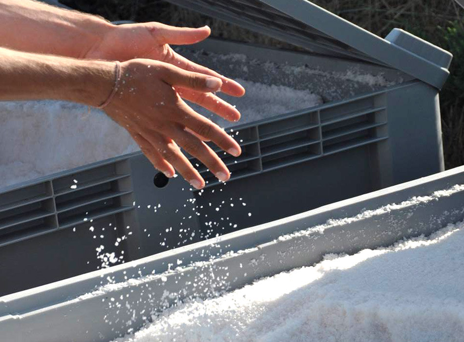 La FLeur de Sel de l'Île de Ré