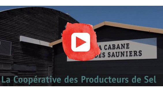 Activité de la Coop des Sauniers en image